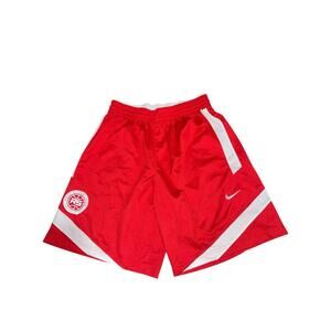 Nike Engineered DriFit Basketball Shorts Rare Y2K 90s Hoops Mesh Sz L